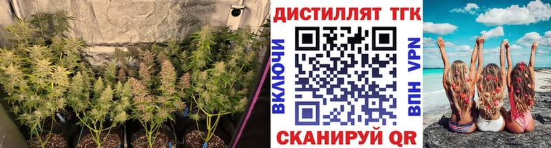 ТГК концентрат купить наркотики цена Александров
