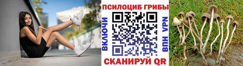 Галлюциногенные грибы мухоморы  Александров 