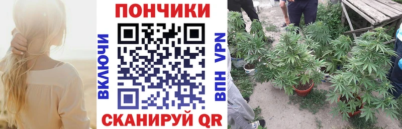 Каннабис план Александров
